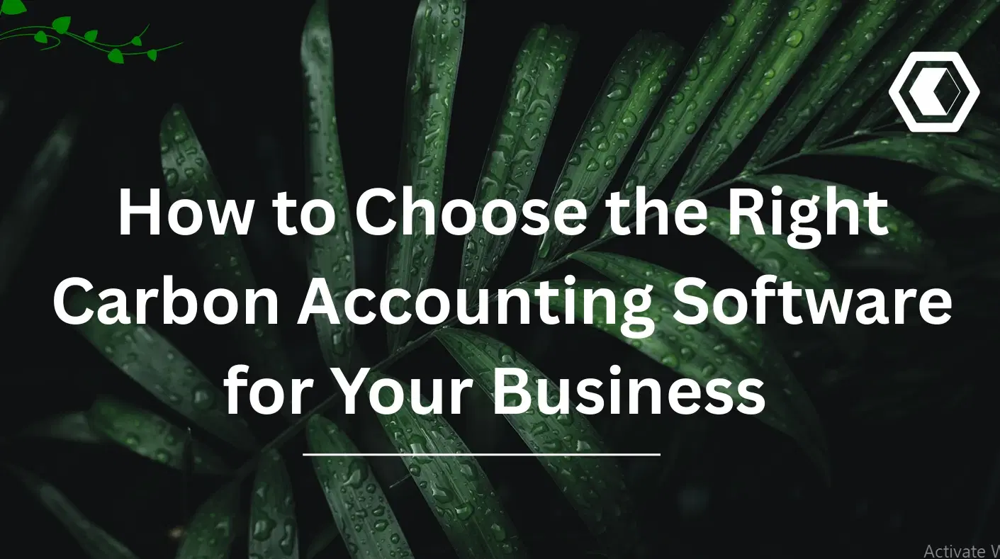 Thumbnail for How to Choose the Right Carbon Accounting Software for Your Business